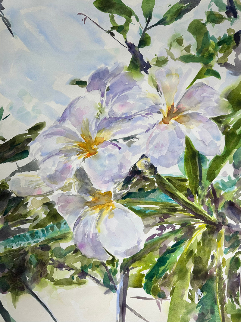 A Plumeria For All Seasons - Cynthia Coffield Fine Art