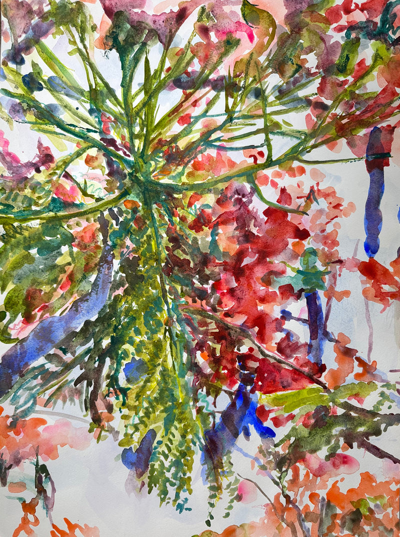 Indra's Net Flowers - Cynthia Coffield Fine Art