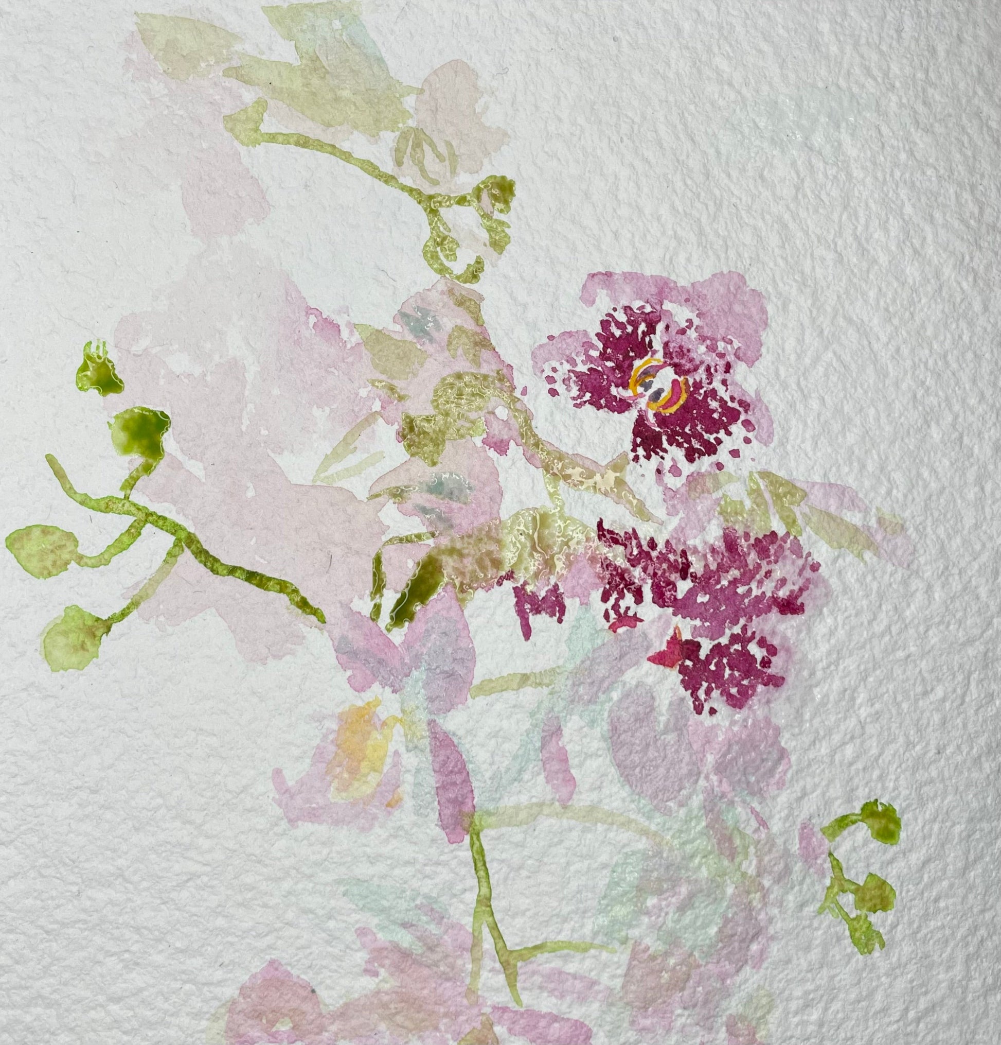 Early Spring Orchids - Cynthia Coffield Fine Art