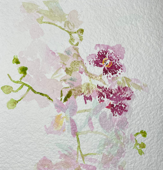 Early Spring Orchids - Cynthia Coffield Fine Art