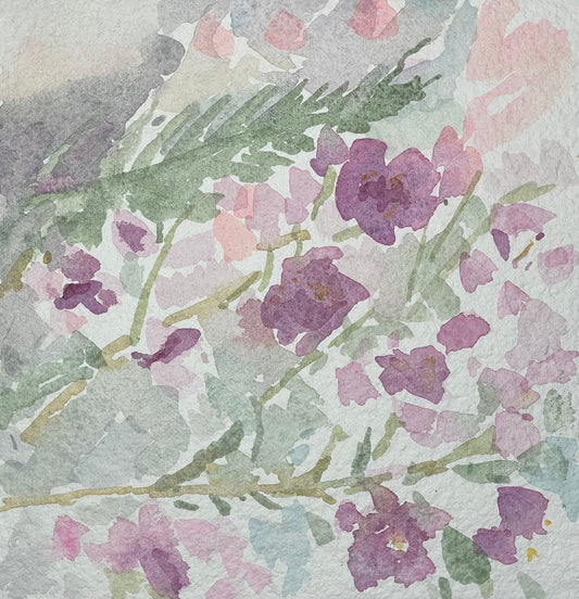 Just Blooming - Cynthia Coffield Fine Art