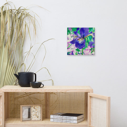 Iris Flowers Canvas Print