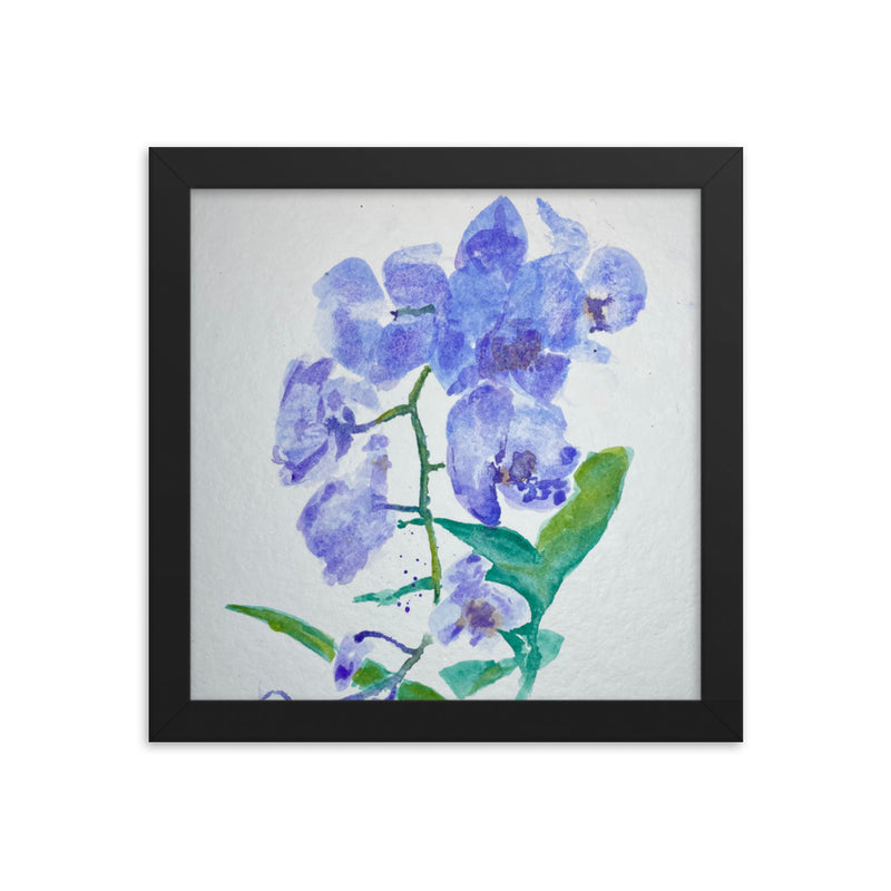 Orchid Flowers Framed Poster